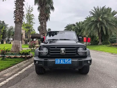 2021 Tank 300 Off-road Version 2.0T Conqueror, фото 2, лот 11242598