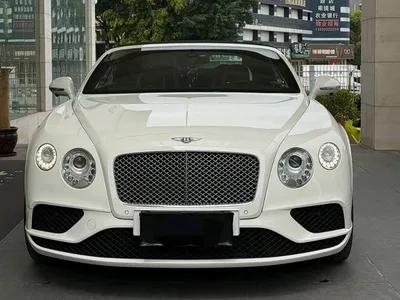2017 Bentley Continental Gt, фото 3, лот 10244403