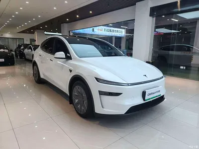 2025 Tesla Model Y L, фото 3, лот 11566219