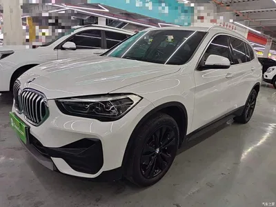 2020 BMW X1 sDrive20Li Fashion Model, фото 2, лот 11567942