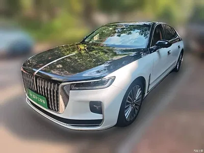 2020 Hongqi H9 2.0T Smart Connection Qi Xiang Edition, фото 1, лот 11195588