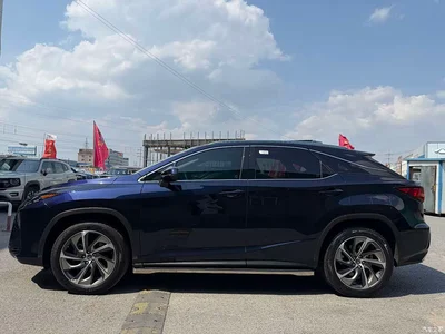 2016 Lexus RX 300 4WD Elegance Edition (China V), фото 3, лот 10317726