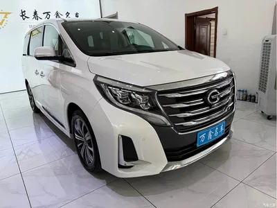2020 GAC Trumpchi Trumpchi M8 Pilot 390T Prestige Edition, фото 3, лот 10417529
