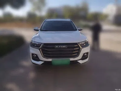 2021 Haval H6 National Trend Edition 1.5T Automatic Urban Edition, фото 2, лот 11550221