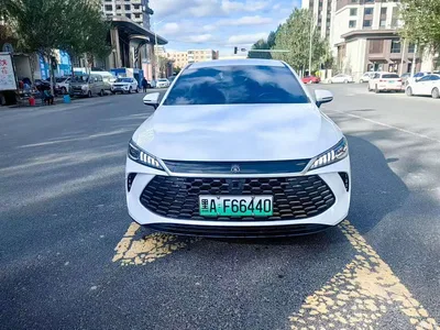 2025 BYD Qin PLUS DM-i Smart Drive 55KM Leader, фото 2, лот 10363136