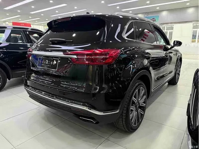 2022 Hongqi HS5 2.0T Smart Connect Flagship AWD Edition, фото 4, лот 10415638