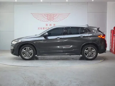 2021 BMW X2 sDrive25i M Sport Package, фото 4, лот 10475685