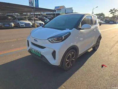 2021 QQ New Energy Little Ant 150K Ant Fans Edition Ant Trend LFP, фото 1, лот 10823653