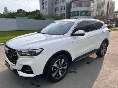 2023 Haval H6 National Trend Edition 1.5T Automatic Champion, фото 1, лот 10301597