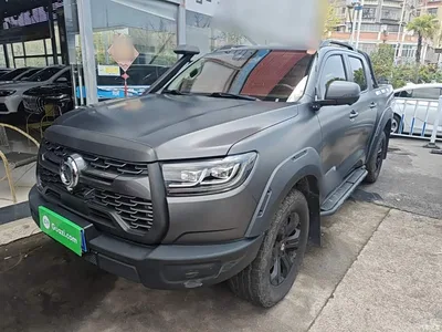 2023 Great Wall Pao 2.0T Off-Road Edition Automatic Diesel 4WD Everest Edition, фото 1, лот 10248893