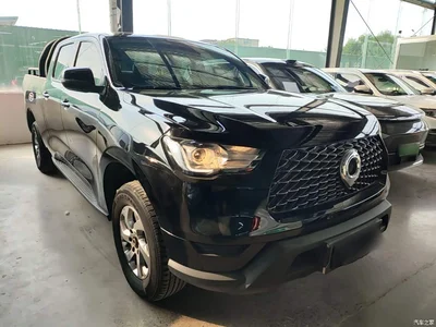 2021 Great Wall Pao 2.0T Commercial Edition Automatic Diesel 2WD Elite Long Box GW4D20M, фото 4, лот 10248836