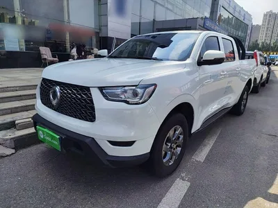 2021 Great Wall Pao 2.0T Commercial Edition Manual Diesel 4WD Elite Long Box GW4D20M, фото 2, лот 10246319