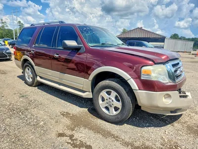 2009 FORD EXPEDITION EDDIE BAUER, фото 4, лот 10507172