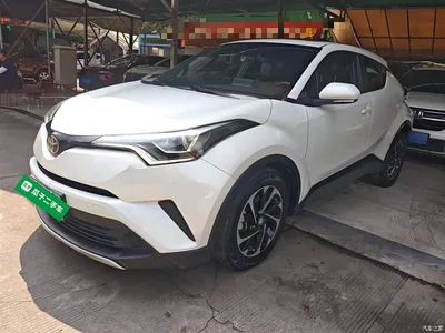 2020 Toyota IZOA 2.0L Yi Chi Edition, фото 2, лот 10384962