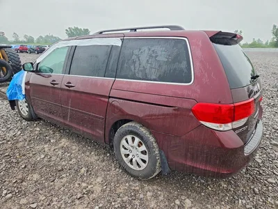 2010 HONDA ODYSSEY EXL, фото 2, лот 10695026