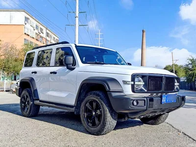 2023 Tank 300 Off-Road Edition 2.0T Conqueror, фото 3, лот 10598268
