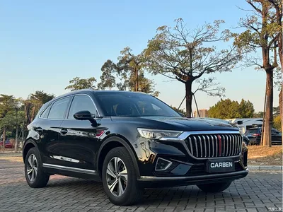 2019 Hongqi HS5 2.0T Smart Connect Enjoy Edition, фото 3, лот 10289031