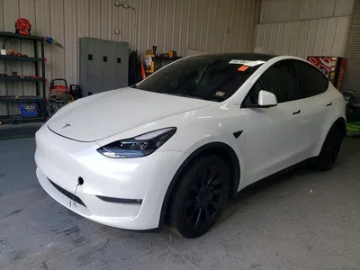2021 TESLA MODEL Y, фото 1, лот 10854360