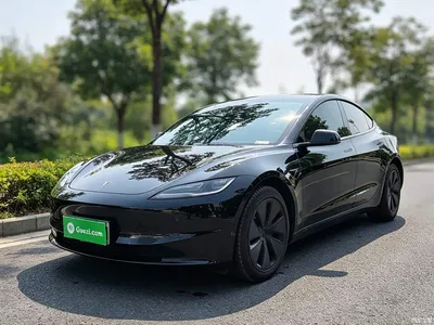 2025 Tesla Model 3 Model Rear-Wheel Drive Edition, фото 2, лот 11242292