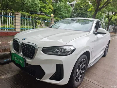 2022 BMW X4 xDrive 25i M Sport Package, фото 2, лот 10386241