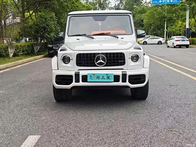 2009 Mercedes-Benz G-Class AMG AMG G 55, фото 2, лот 10300414