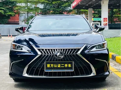 2022 Lexus ES 200 Excellence Edition, фото 2, лот 10312165