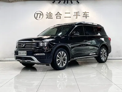 2017 GAC Trumpchi Trumpchi GS8 320T 2WD Luxury Smart Connect (7-seater), фото 1, лот 10414734