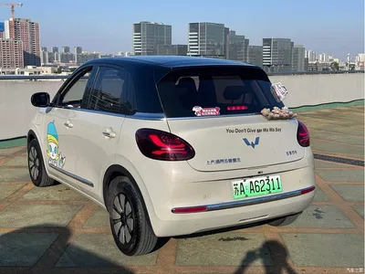 2024 Wuling Motors Wuling Bingo 410km Smart Premium Edition, фото 3, лот 11569941