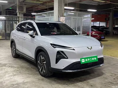 2024 Wuling Motors Wuling Xingguang S 510km Flagship Model, фото 4, лот 10833539
