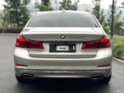 2018 BMW 5 Series Facelift 530Li Exclusive Luxury Package, фото 2, лот 11011930