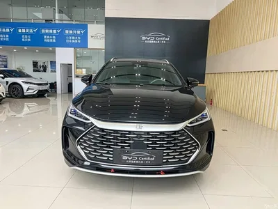 2024 BYD Tang New Energy DM-i Glory Edition 112KM Deluxe, фото 2, лот 11499762