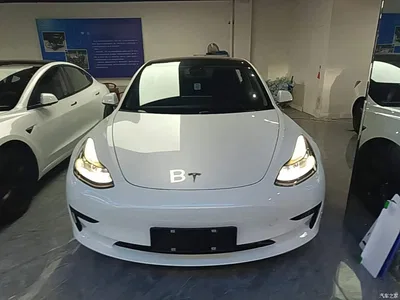 2022 Tesla Model 3 Model Rear-Wheel Drive Version, фото 3, лот 10375232
