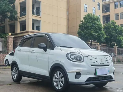 2022 Leapmotor T03 Crystal Shine Edition, фото 3, лот 10316998