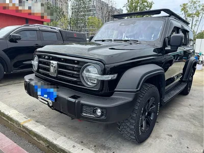 2021 Tank 300 Off-road Version 2.0T Conqueror, фото 1, лот 11181665