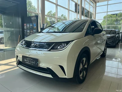 2025 BYD Dolphin 420km Vitality Edition, фото 1, лот 10593002