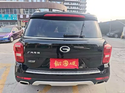 2017 GAC Trumpchi Trumpchi GS8 320T AWD Luxury Smart Connect (7-Seater), фото 3, лот 10416434