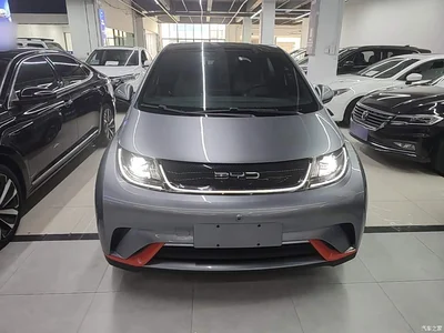 2021 BYD Dolphin Model 405km Fashion Edition, фото 3, лот 10662344