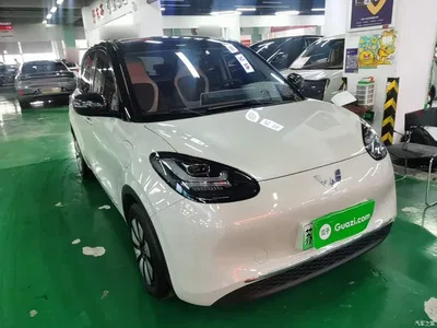 2024 Wuling Motors Wuling Bingo 333km Comfort Edition, фото 3, лот 11250003
