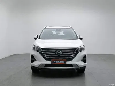 2021 GAC Trumpchi Trumpchi GS5 Advanced 270T Tech Zhiling Edition, фото 3, лот 10401757