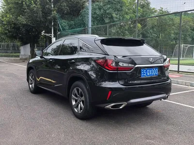 2016 Lexus RX 300 2WD Elite Edition China VI, фото 4, лот 10400827