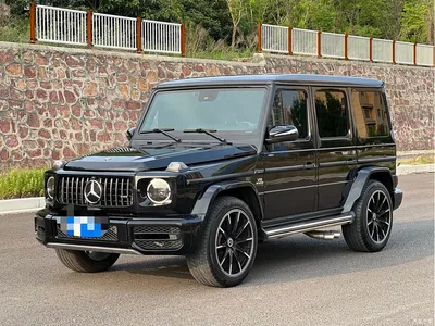 2010 Mercedes-Benz G-Class G 500, фото 1, лот 10280671