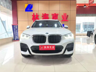 2021 BMW X3 xDrive28i M Sport Package, фото 1, лот 10460843