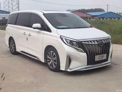 2020 GAC Trumpchi Trumpchi M8 Master Edition 390T Ultimate, фото 4, лот 10418205