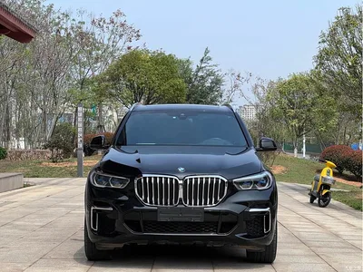2022 BMW X5 Model xDrive 40Li M Sport Package, фото 2, лот 10398218
