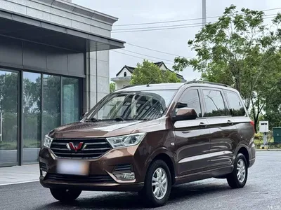2019 Wuling Motors Wuling Hongguang 1.5L S Standard China VI LAR, фото 1, лот 10378108