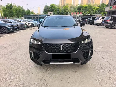 2019 WEY VV7 Upgraded 2.0T Flagship China V, фото 2, лот 11192358