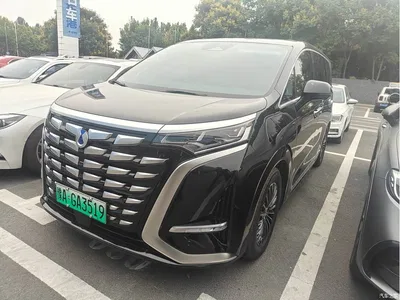 2024 Denza D9 DM-i 980 AWD Premium, фото 1, лот 10767789