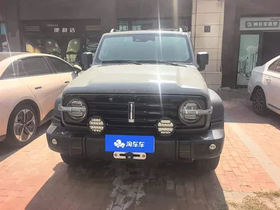 2021 Tank 300 Off-road Version 2.0T Conqueror, фото 2, лот 10481100