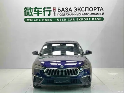 2022 Škoda Octavia PRO TSI280 Luxury Edition, фото 2, лот 10356633