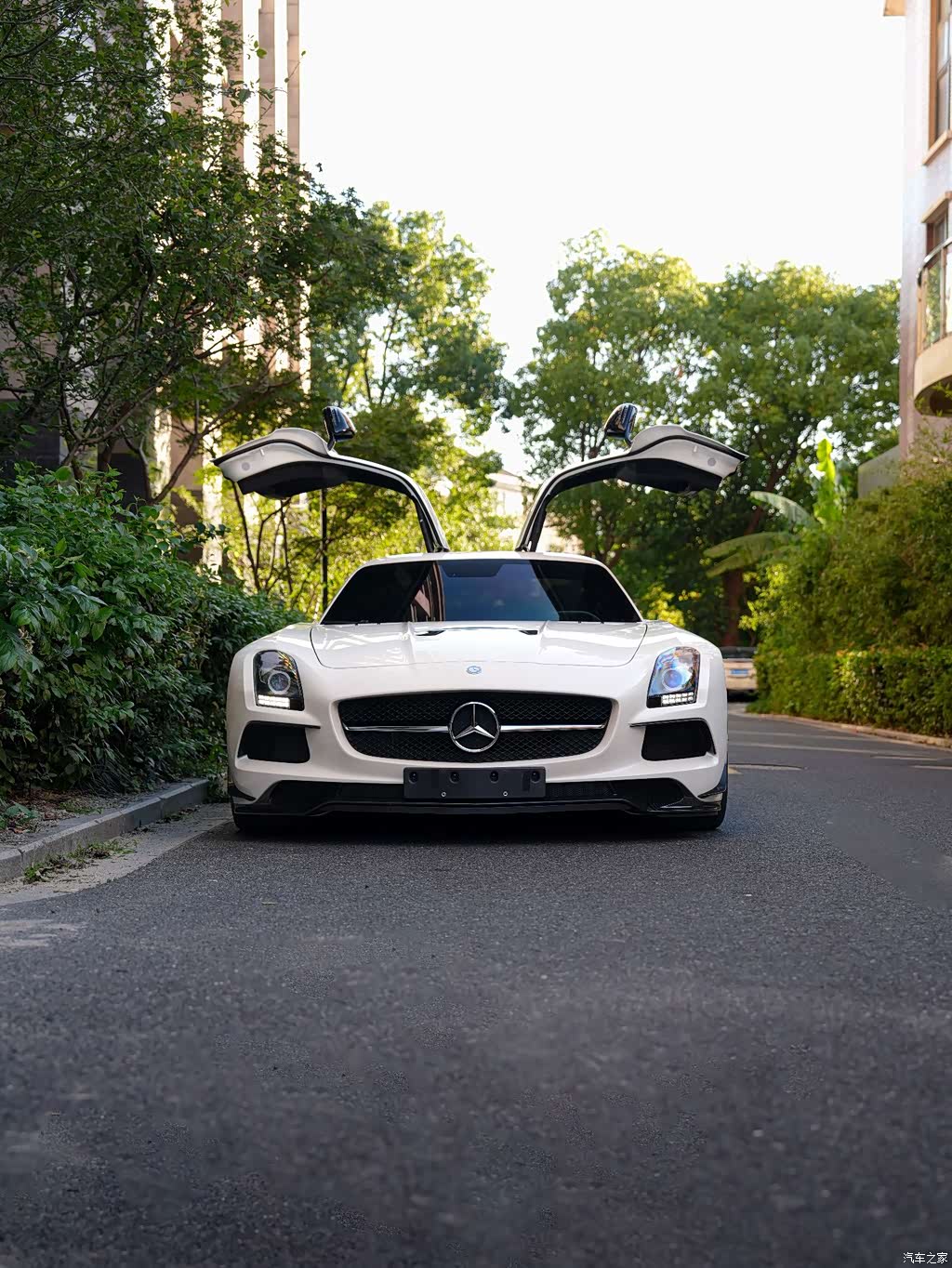 2014 Mercedes-Benz SLS AMG Model SLS AMG Black Series, фото 2, лот 10363767